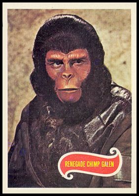1 Renegade Chimp Galen